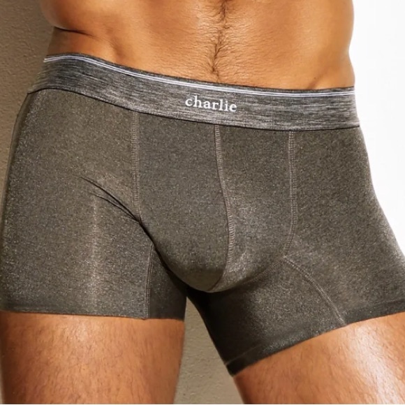 Charlie by Matthew Zink. Dark Grey. Sport Trunk. Microfiber. Size M - Picture 3 of 3